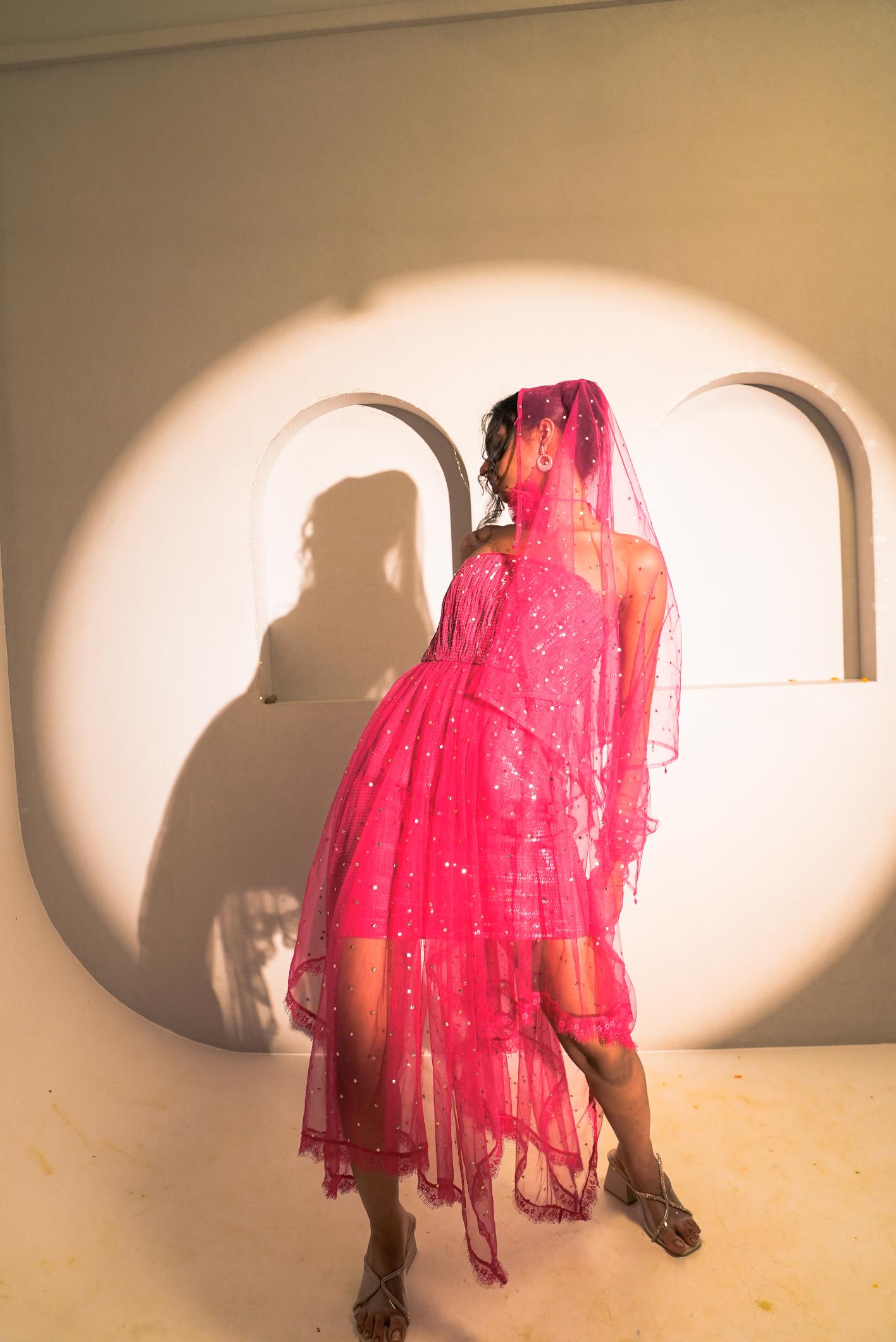 Spinel Pink Mukaish Work Tube Dress